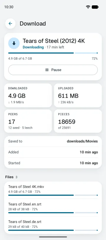 Details of one download: speed, peers, pieces, and the progress of each file.